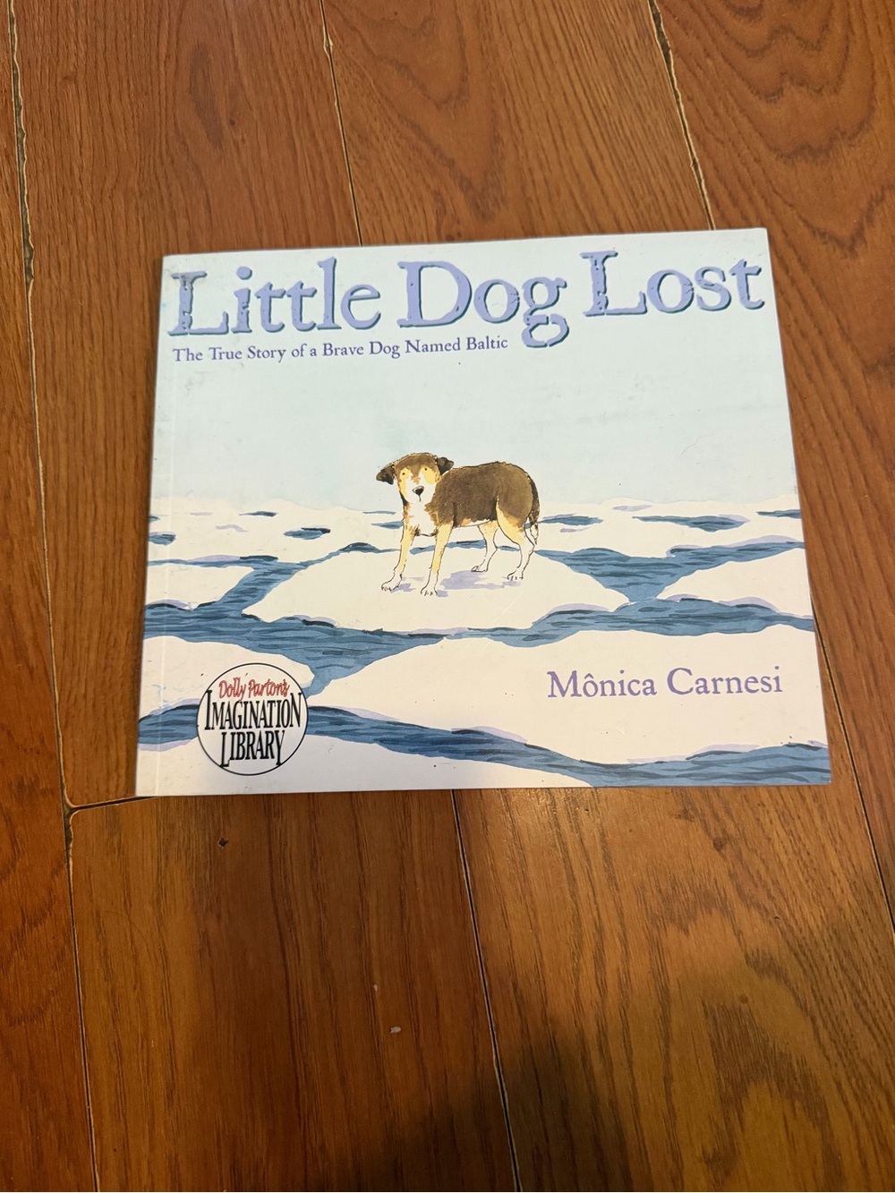 Little Dog Lost by Mónica Carnesi - Blue Cover Children's Book